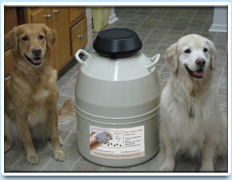 Picture: Two dogs sit on either side of a storage vat of genetic material.