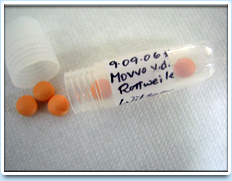 Image: Pellets in a vial.