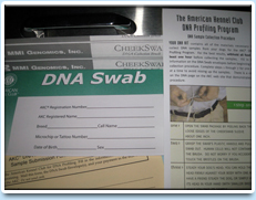 Picture: A DNA Swab kit.