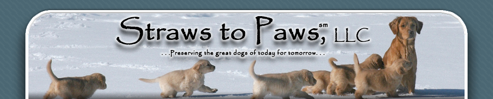 Straws to Paws, LLC Masthead Image